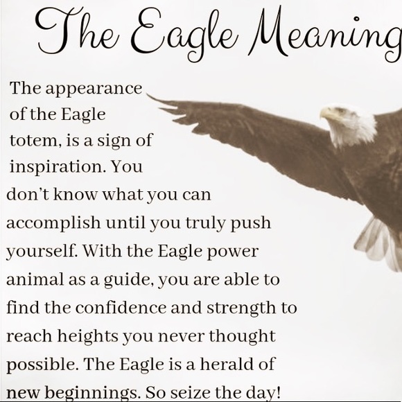 Soaring High Tee - Picture 13 of 16